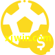 Aposte em esportes do mundo todo no xjwin.com!